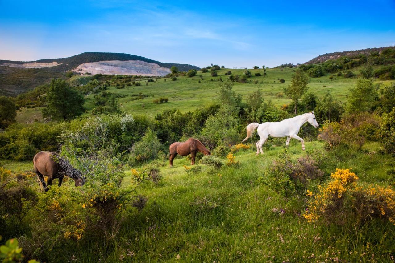 Hospedaje Rural Casa Parri Poveda de la Sierra Exteriér fotografie